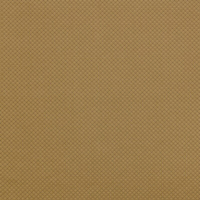 Il Asami swatch